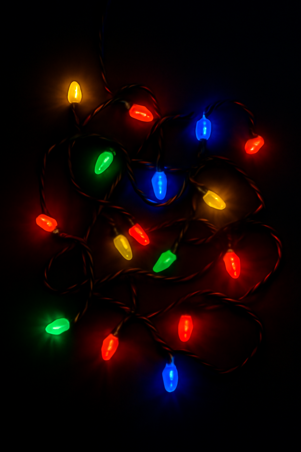 15ft 18 Lamp Multicolour LED String Lights