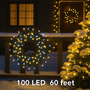 100-LED 60 Ft Warm White+White Fairy String Lights
