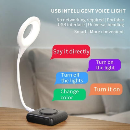 USB Intelligent Voice Control Lamp Activated Lights