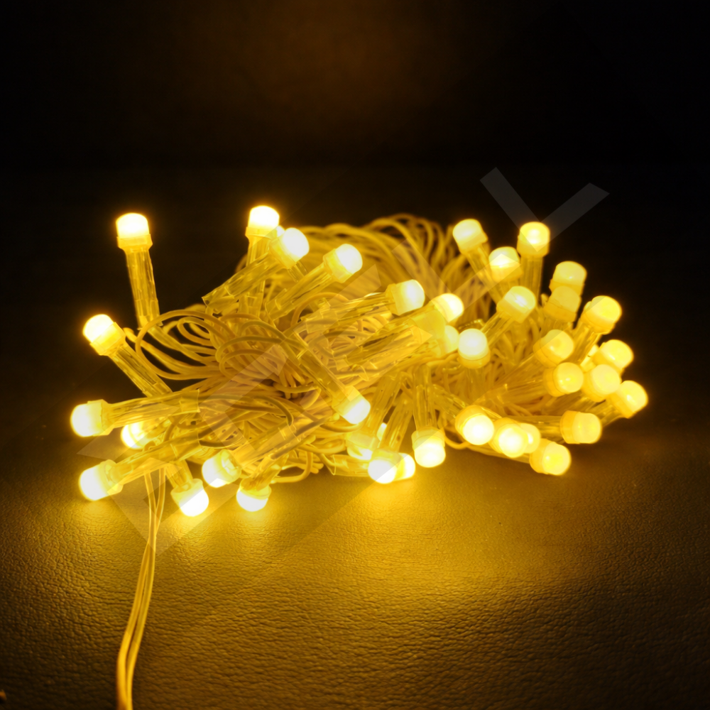 Golden Series LED Festive Lights