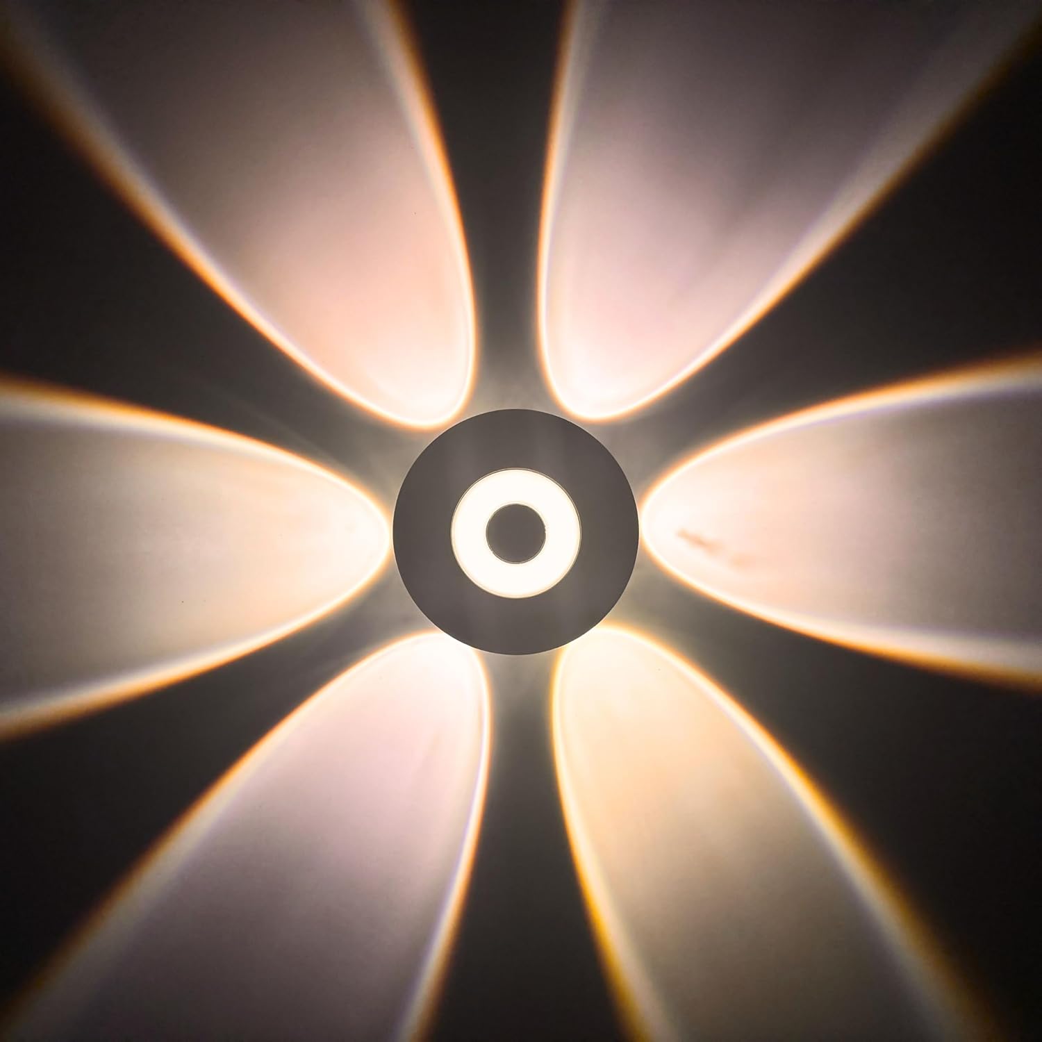 Volt Vision 6 Way Profile LED Indoor & Outdoor Lamp Up/Down Right/Left Elevation Light Rustproof & Water Resistant Aluminum Body Black Elevation Light Outdoor Lamp (6 Way Profile Warm White)