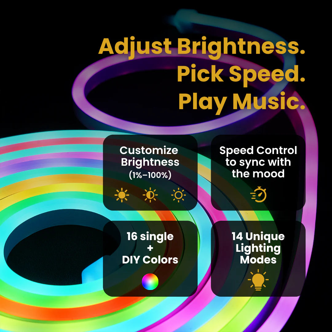 Neon Aura Smart RGBIC 5M Dynamic Neon Light