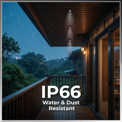 Nortek Platina+ 5W COB LED Surface Spotlight | Focus Light for Ceiling, Mirror, Bathroom & Wall Decor | IP66 Waterproof Anti-Glare Light for Balcony, Staircase & Indoor Use | Warm White – Pack of 1