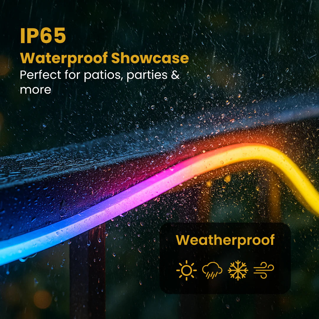 Neon Aura Smart RGBIC 5M Dynamic Neon Light