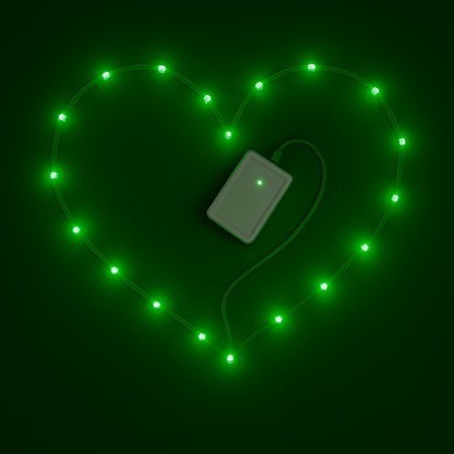 100-LED Multicolor Christmas Fairy Lights