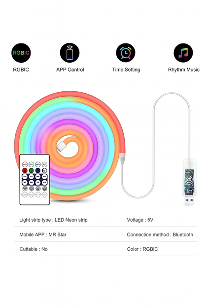 Neon Aura Smart RGBIC Neon Light 5M Dynamic