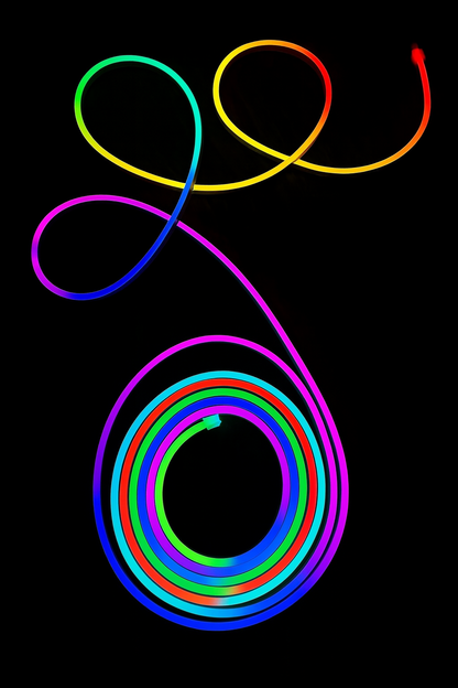 Neon Aura Smart RGBIC Neon Light 5M Dynamic