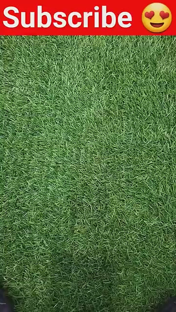 Velv ra Luxe Wand Personal Wellness Massager