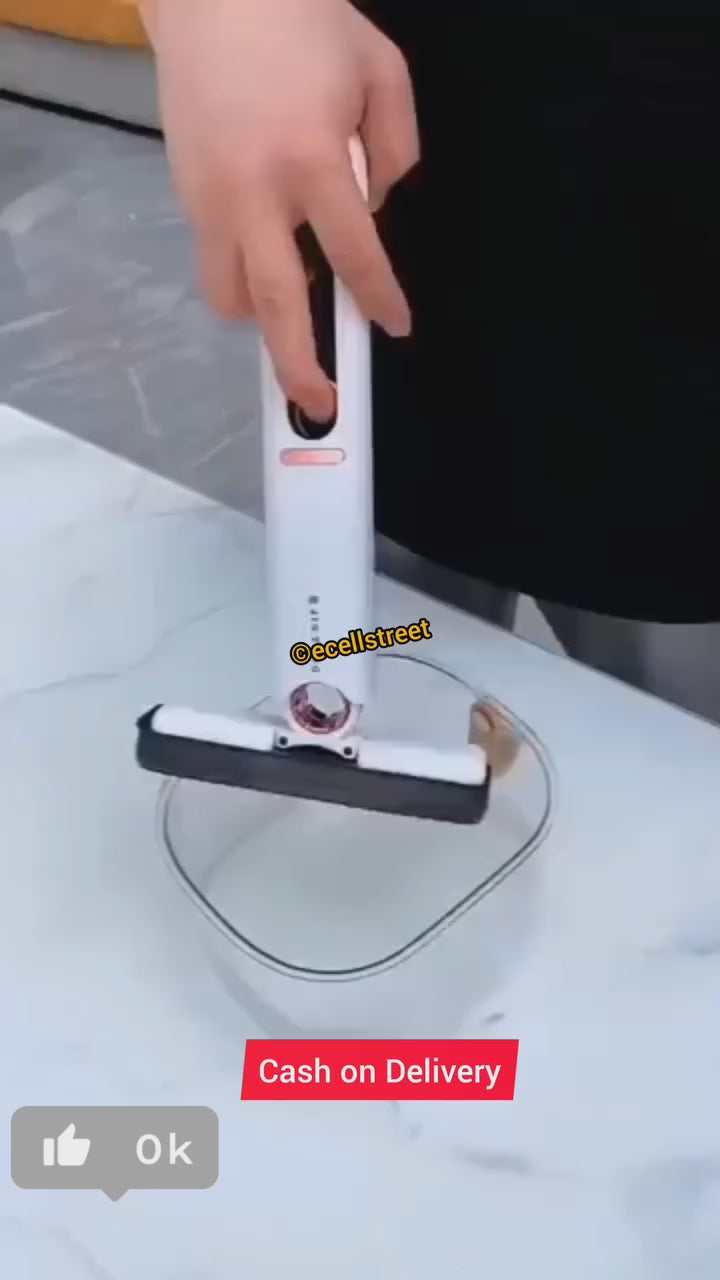 Mini Mop Sponge