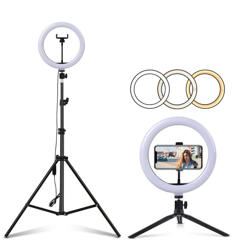 Buy Hayfive Flashes Ring Light Dimmable LED Selfie Ring Light with Stand  USB Selfie Light Ring Lamp Big Photography Ringlight for Computer PC Laptop  (Color : 8 inch) Ringlight Flashes (Color :